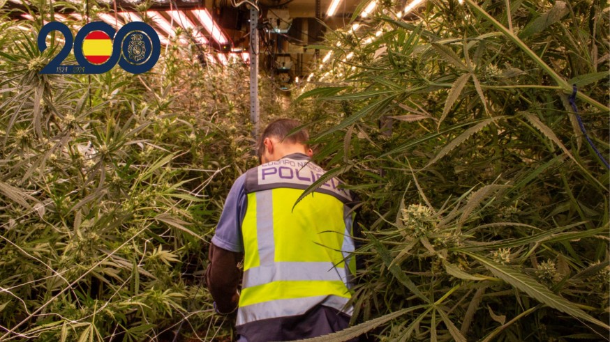 Un generador de ozono tapaba los olores de una gran plantación de marihuana en Torre Pacheco