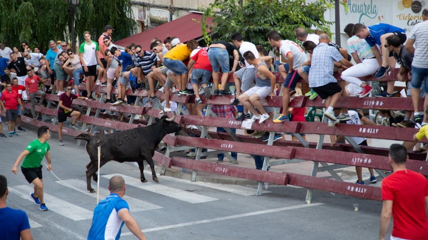 Dos heridos en el quinto encierro de las fiestas de Moratalla