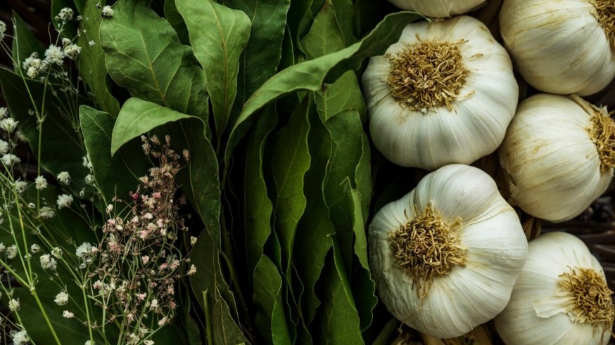 La Magia de las Plantas. El ajo