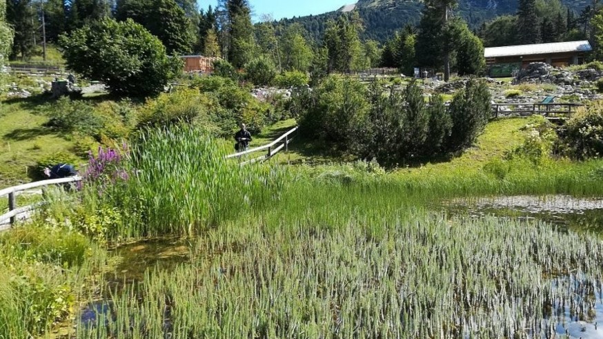 La Magia de las Plantas. Jardines botánicos Alpinos (II)