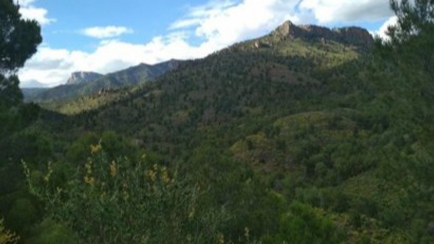Conociendo Sierra Espuña con Javier Ramírez. La ascensión a Sierra Espuña por la Senda de la Fuente del Piojo,