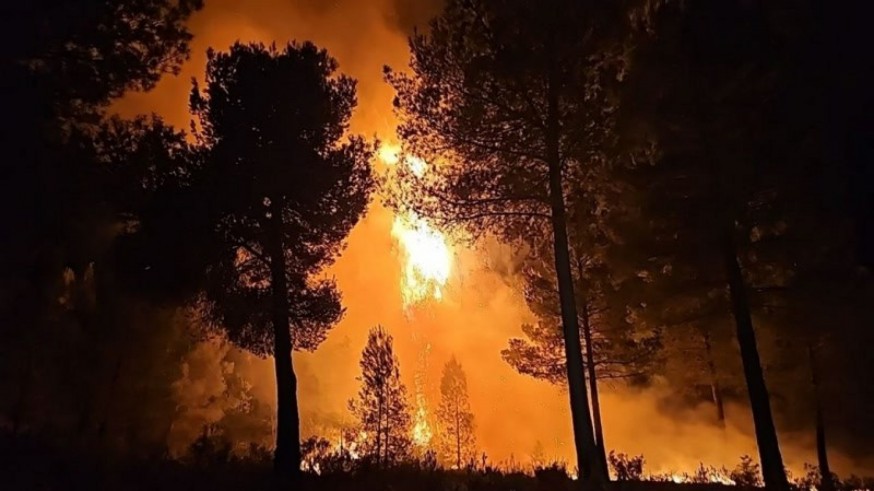 Infomur sofoca 8 conatos de incendios forestales en Cehegín y Blanca, algunos intencionados