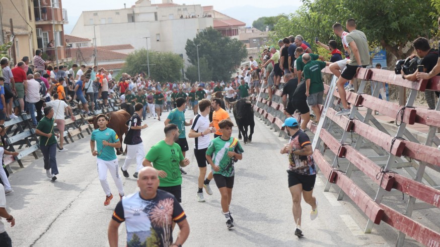 Encierro sin heridos en el comienzo de la Feria Taurina de Calasparra