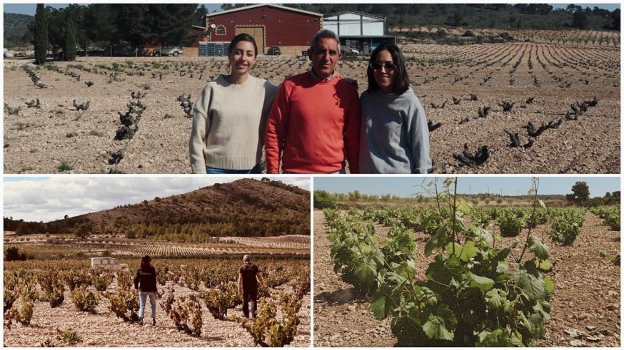 Actividades enoturísticas de la bodega Xenysel en Jumilla