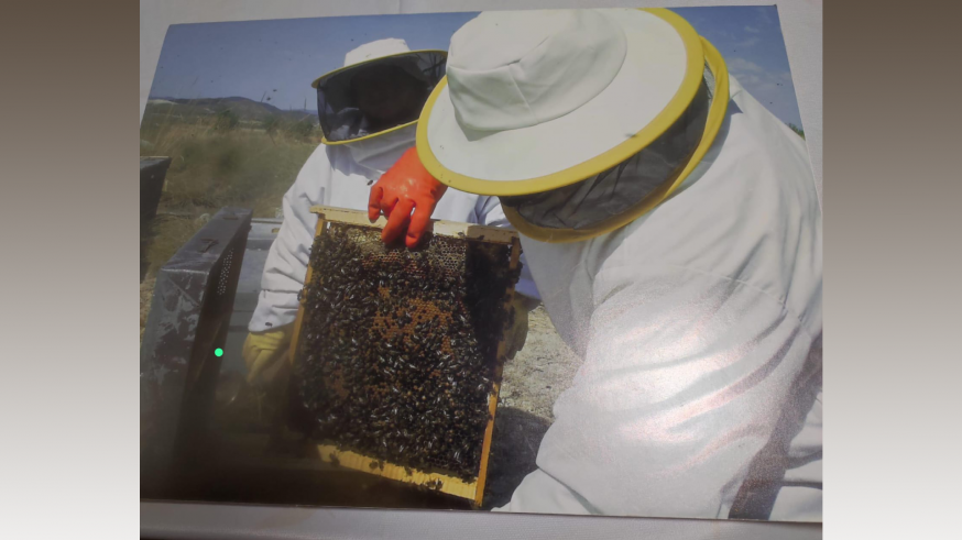 Mari Cruz Baraza, apicultora: "Con la sequía, no hay nada en el campo para que coman las abejas"