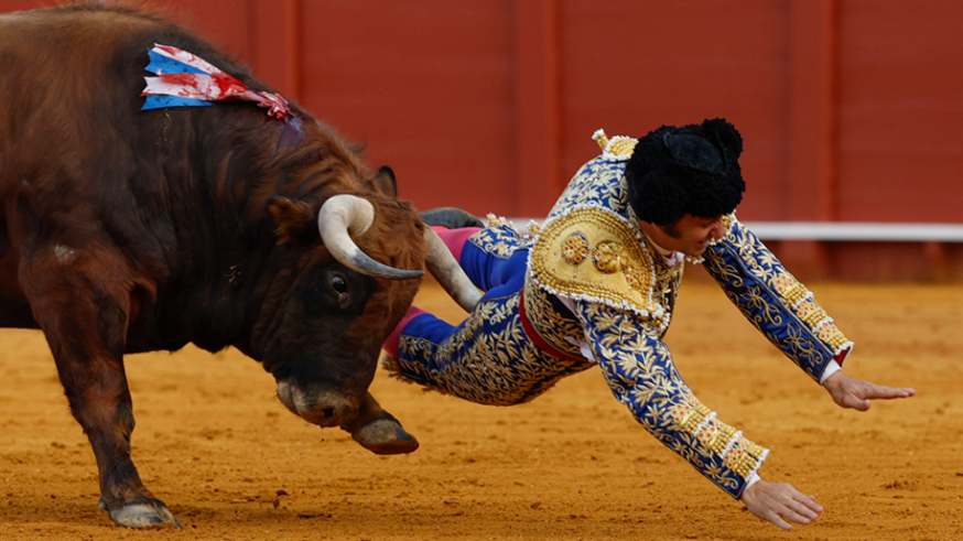 Morante, "muy grave" tras sufrir una cornada en Sevilla