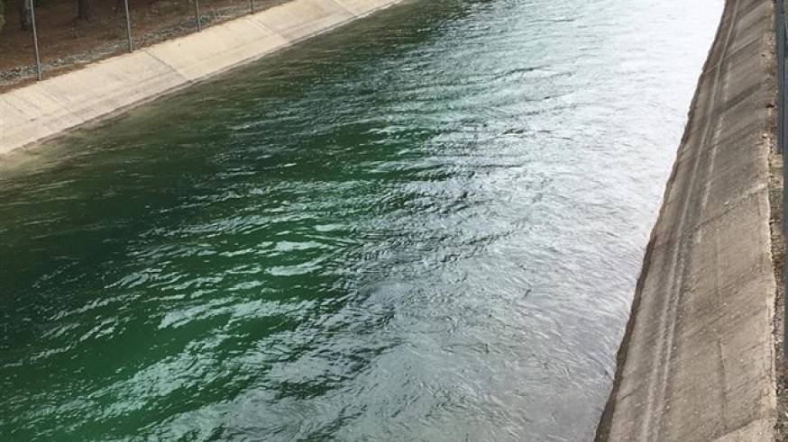 Canal del trasvase