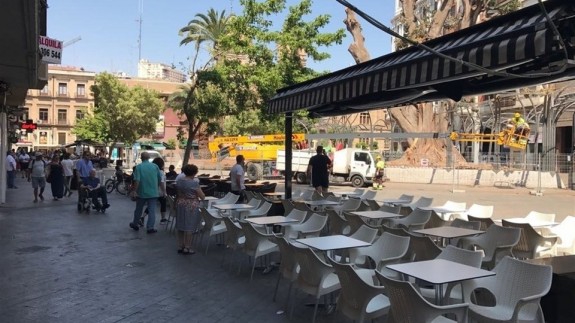 Reabierta La Plaza De Santo Domingo Tras Concluir Los Trabajos De Saneamiento Del Ficus Onda Regional De Murcia