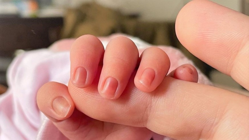 Saldo vegetativo positivo en la Región durante 2025