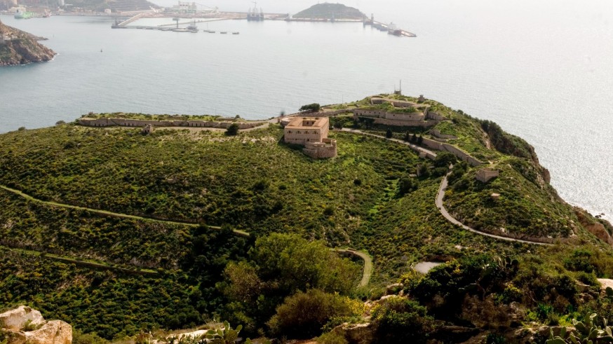 Replantan con especies autóctonas en el entorno de Fajardo en Cartagena