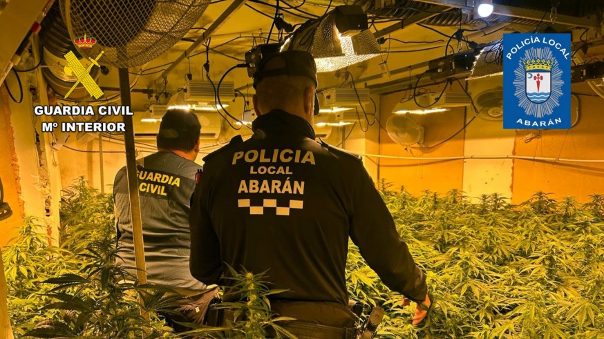 Detienen a cuatro hombres en Abarán por cultivar marihuana