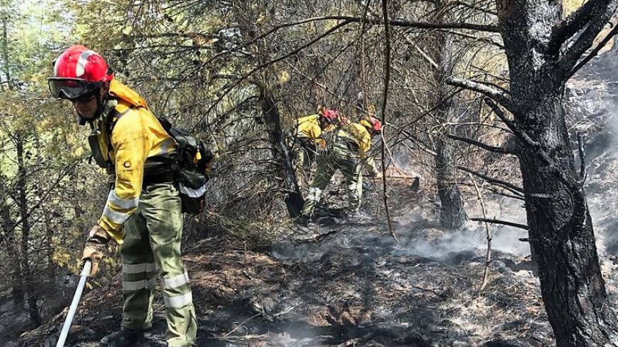 Brigadas forestales