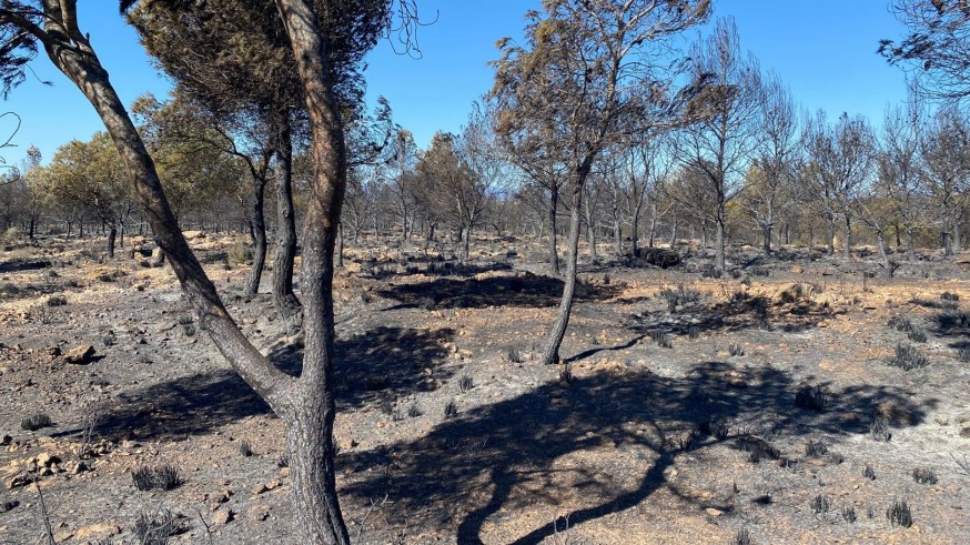 Controlado el incendio en Sierra Espuña tras quemar unas 400 hectáreas