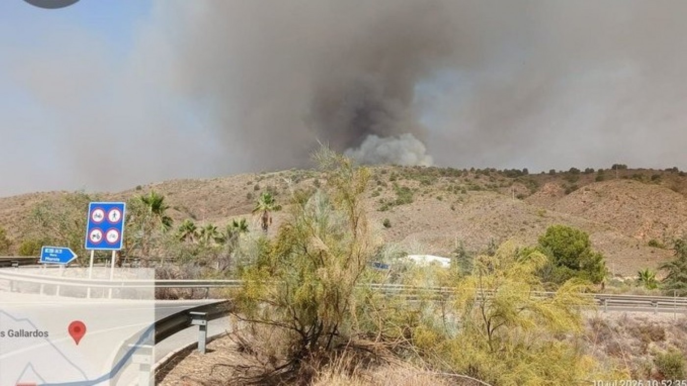 La Guardia Civil investiga si un cable eléctrico provocó el incendio mortal de Los Gallardos