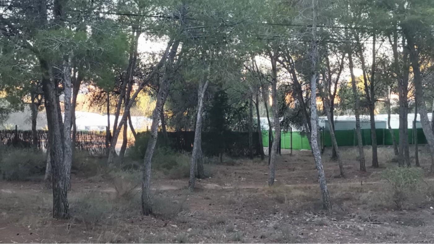 Otros 240 migrantes rescatados en Canarias se incorporan este viernes al campamento de acogida de Cartagena