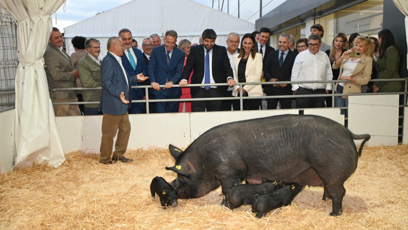 Crece un 3% la exportación de animales vivos en los siete primeros meses de 2025