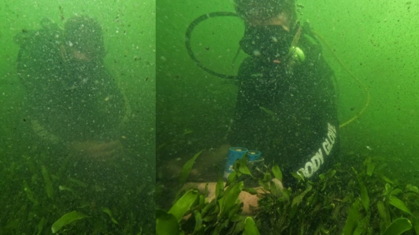 El Mar Menor muestra signos de estabilización pese a la alta turbidez y clorofila