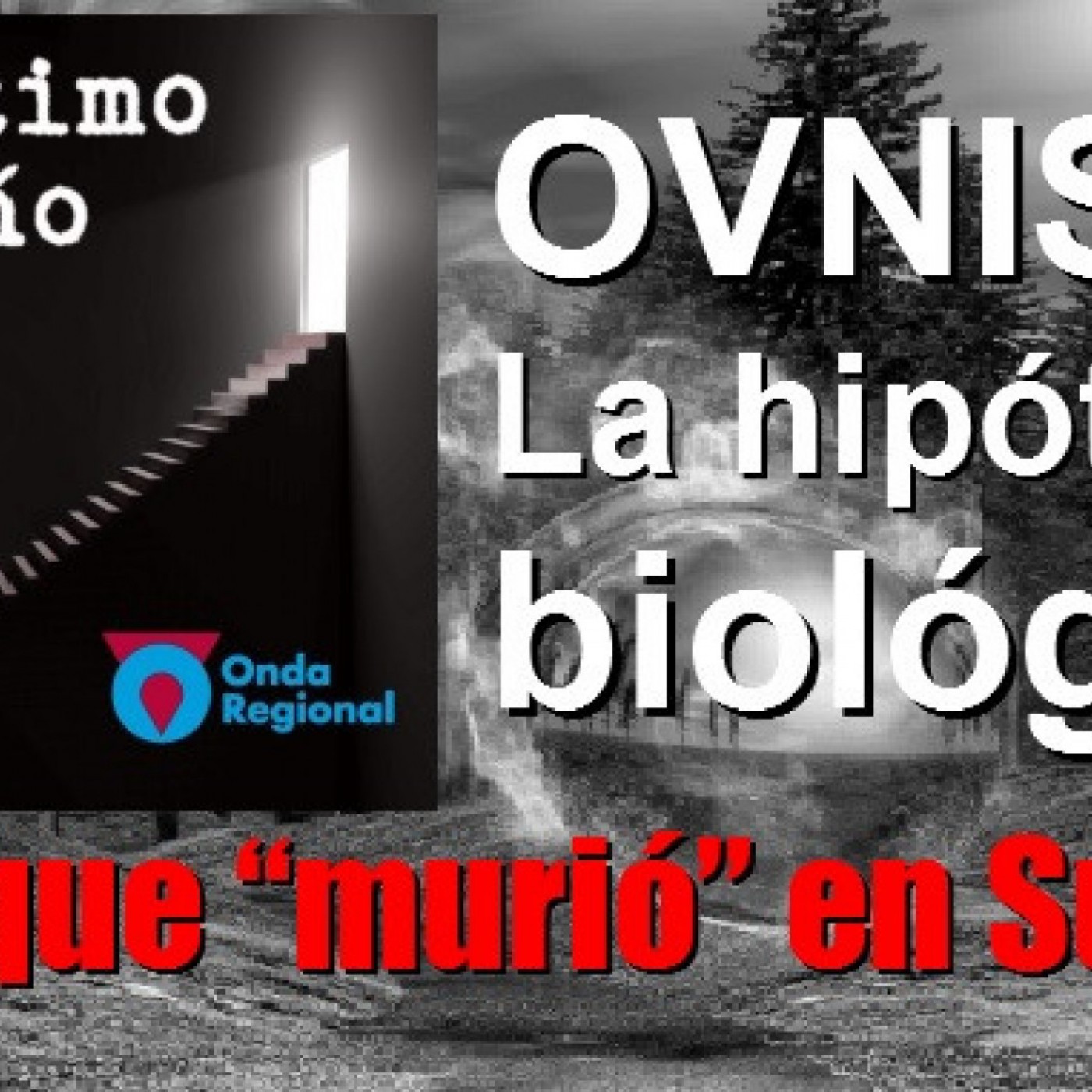 EL ÚLTIMO PELDAÑO