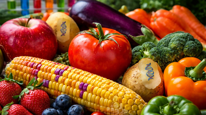 Transgénicos: Ciencia y Realidad Frente a los Mitos de la Desinformación