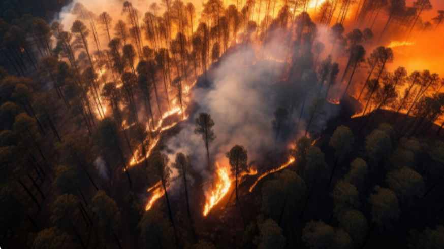 ¿Una futura solución para frenar los incendios forestales?
