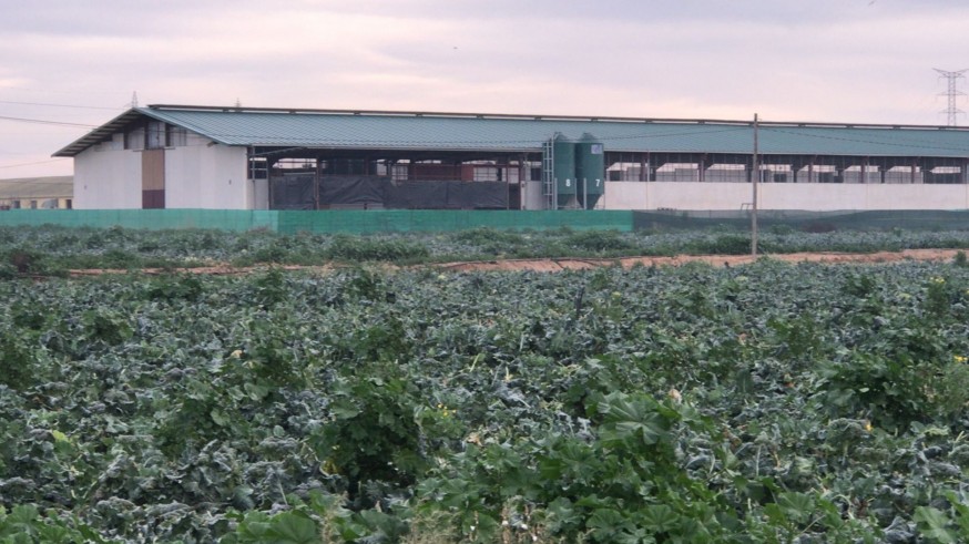 La Comunidad adelanta el pago de los anticipos de la PAC a 6.000 agricultores