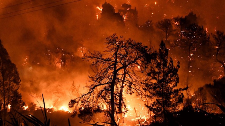 El abandono del entorno rural se revela como causa de los grandes incendios forestales