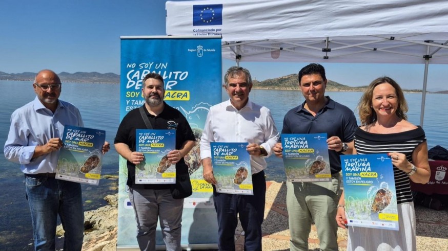 La nacra del Mar Menor tendrá un plan regional propio
