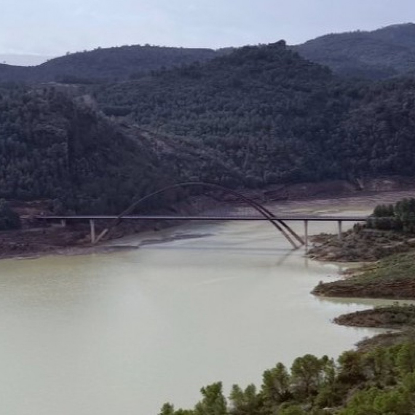 las-lluvias-en-la-cabecera-del-segura-di
