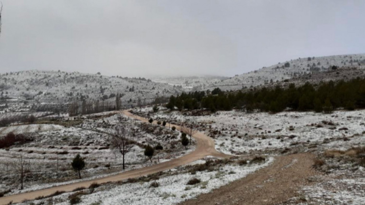 Nieve en Inazares. 