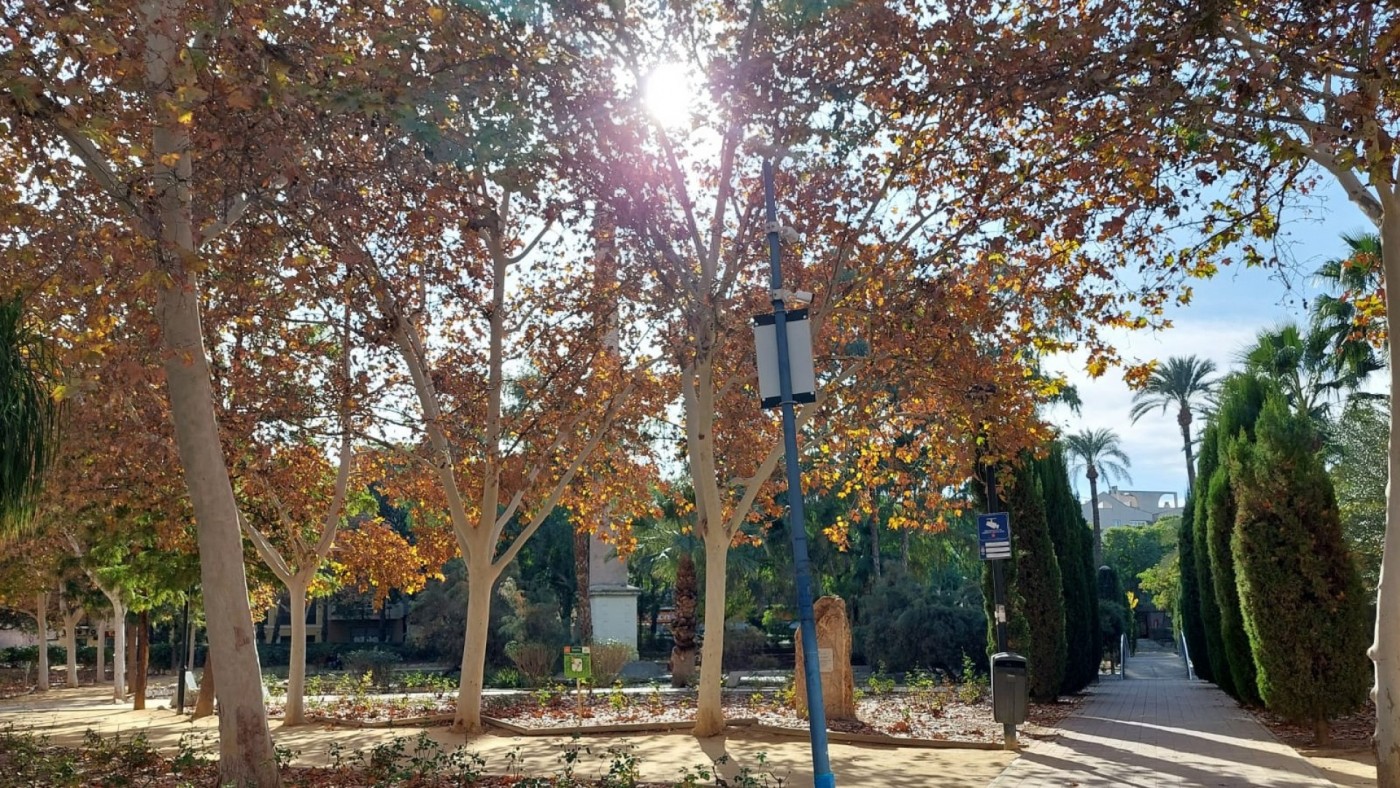 El pasado diciembre ha sido el más seco desde que se tienen registros en la Región de Murcia