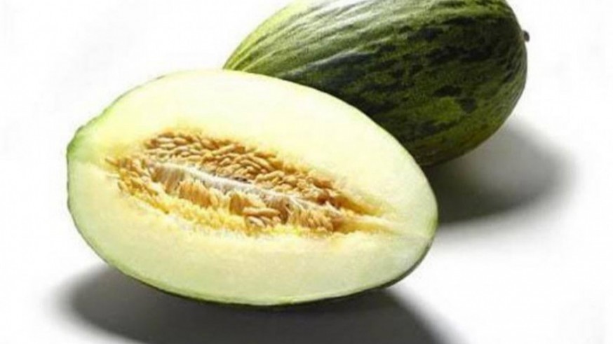 Coplas y poemas dedicados al melón