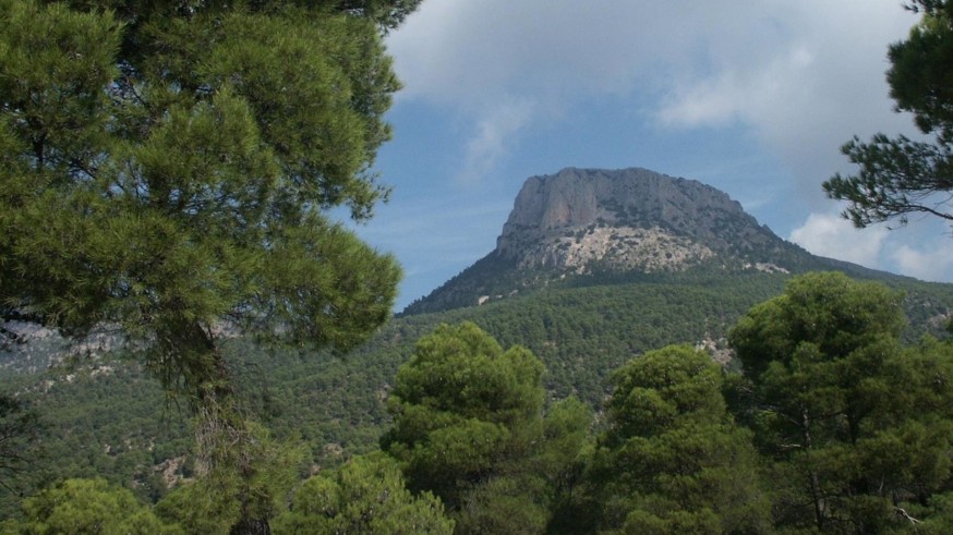 Ecologistas en Acción denuncia por prevaricación a diputados del PP y Vox