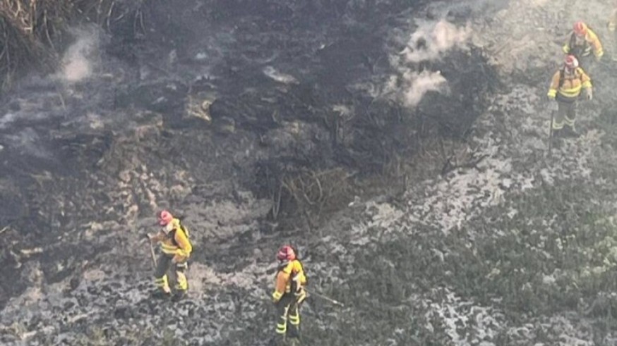 La Comunidad activa la red de vigilancia fija contra los incendios forestales 