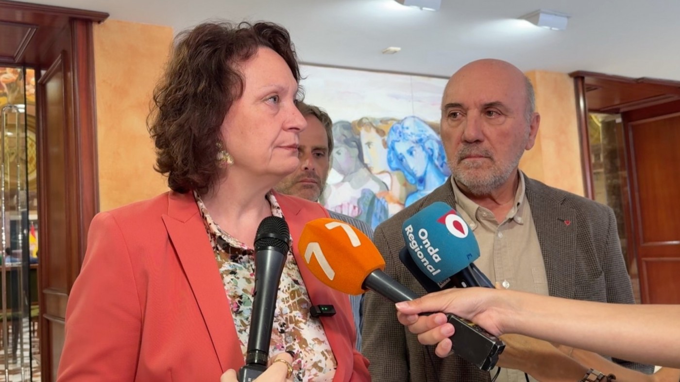 Podemos IU-Verdes recurre al Constitucional para frenar el reglamento del grupo mixto de la Asamblea