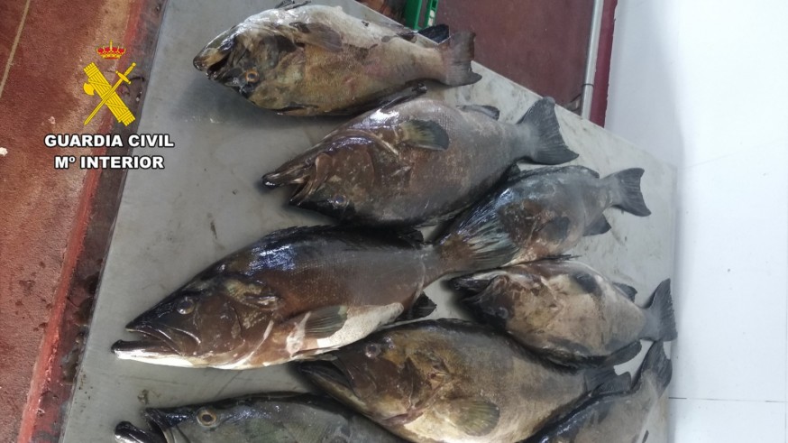 Cuatro detenidos en Los Nietos con casi 300 kilos de pescado capturado de forma ilegal