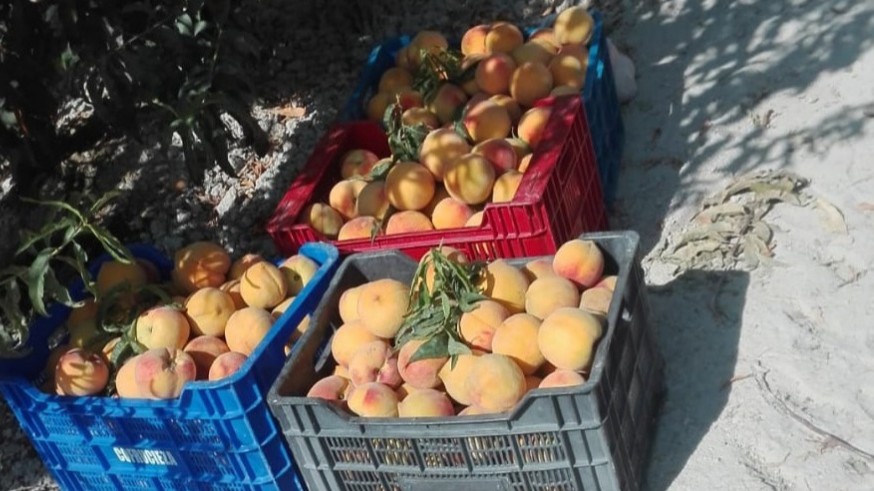Las cajas de fruta robadas en Cieza