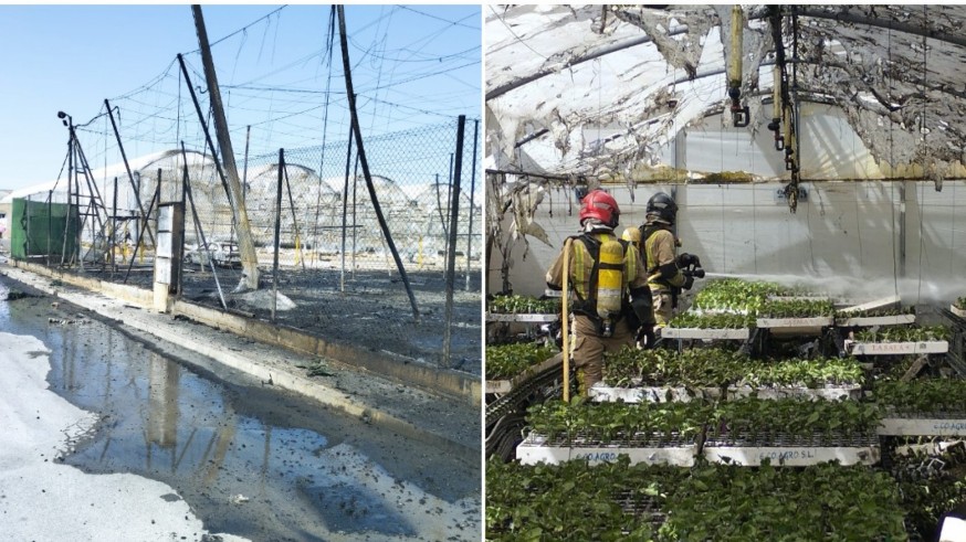 Extinguido el incendio que ha arrasado varios invernaderos en un semillero de San Pedro del Pinatar 