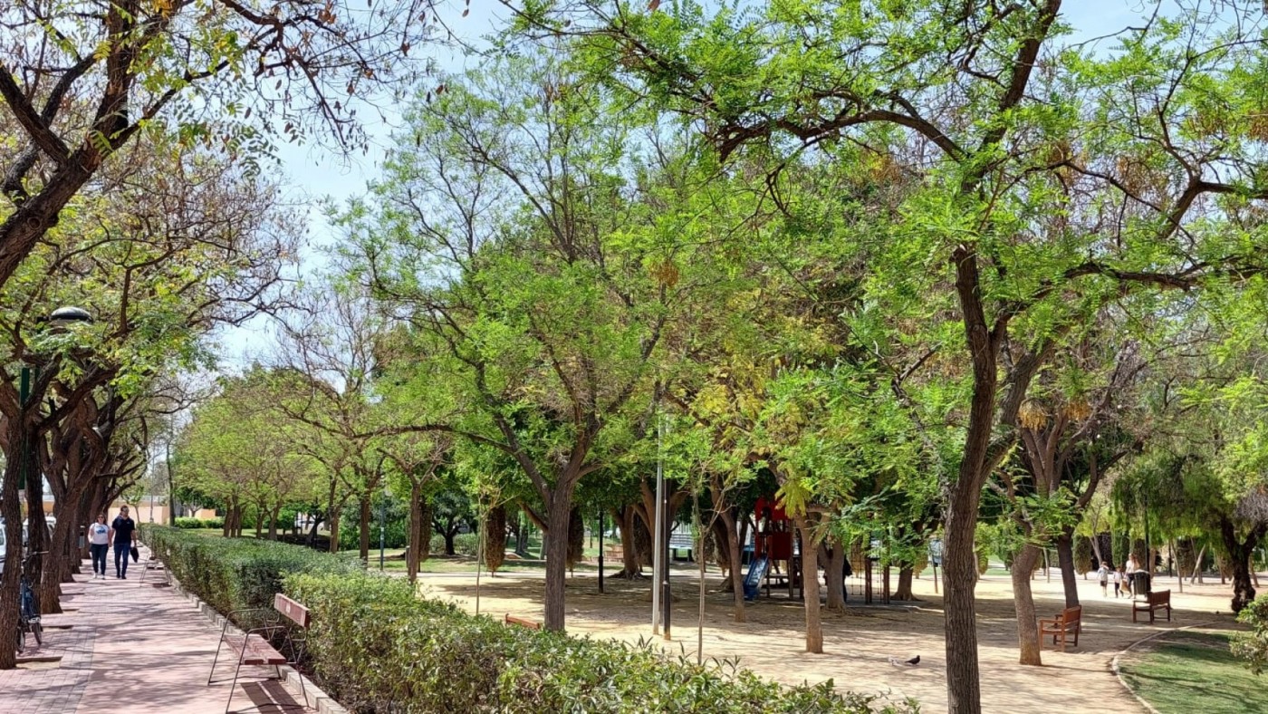 Sol y ambiente suave en el último fin de semana de noviembre