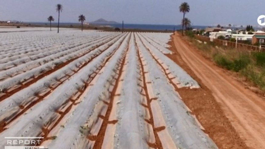 La televisión alemana culpa a los agricultores de contaminar el Mar Menor