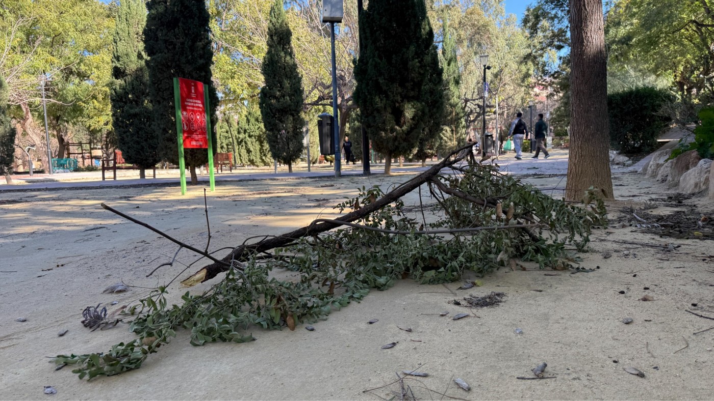 La Aemet amplía el aviso por viento muy fuerte en toda la Región: rachas de hasta 90 km/h y olas de 5 metros