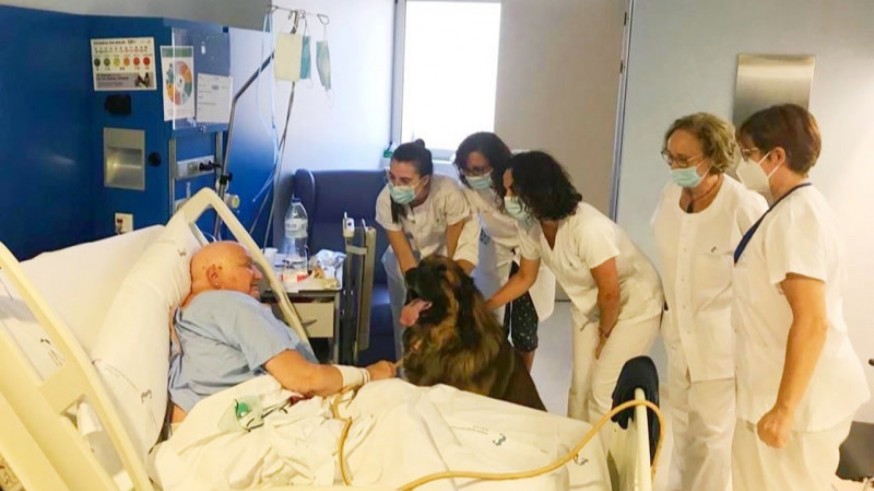 Paciente recibe visita de mascota. FOTO: ÁREA DE SALUD CARTAGENA