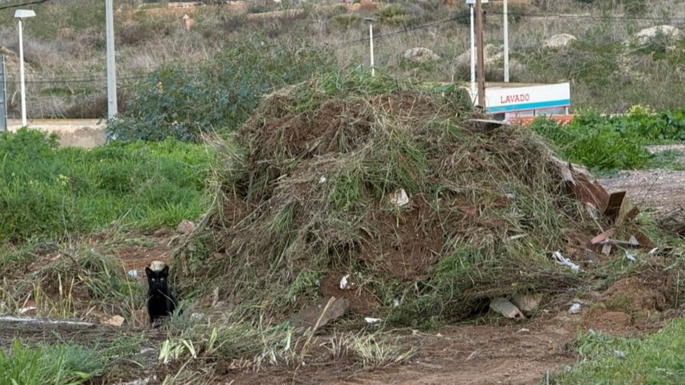 Piden la paralización de la descontaminación del barrio de Los Mateos