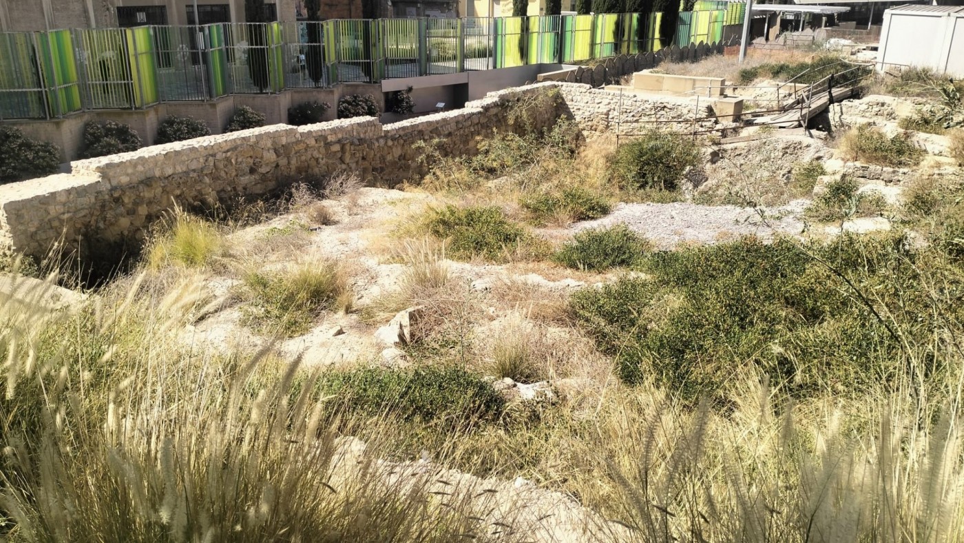 Alertan del riesgo de incendio en el cerro del Molinete por la falta de limpieza