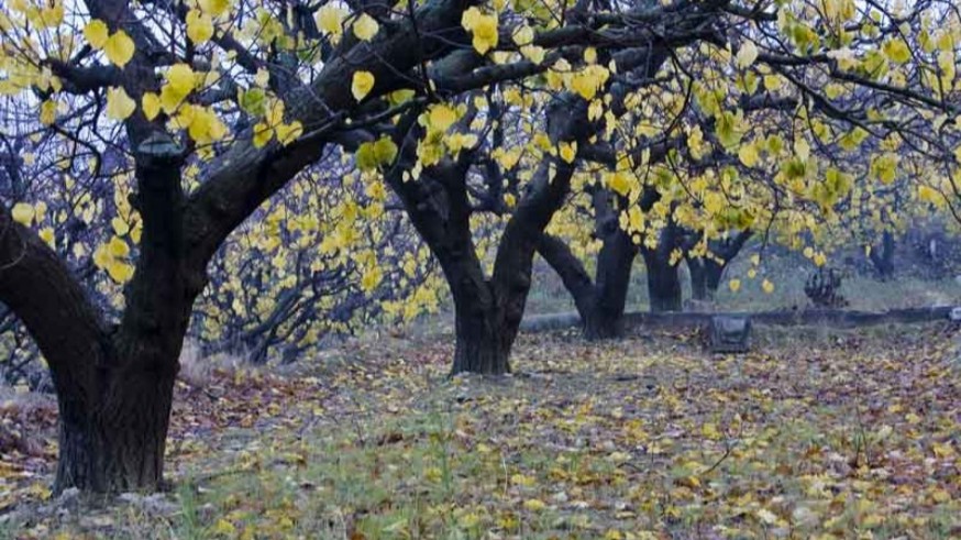 Cambio del tiempo y bajada notable de temperaturas 