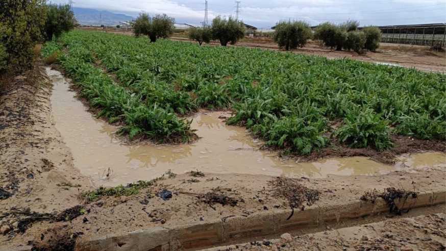 Totana solicitará la declaración de zona catastrófica por las lluvias