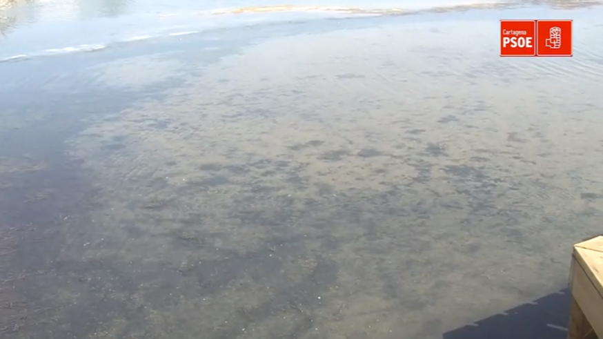 El PSOE de Cartagena denuncia en un vídeo los malos olores y el fango acumulado en la playa de Los Urrutias