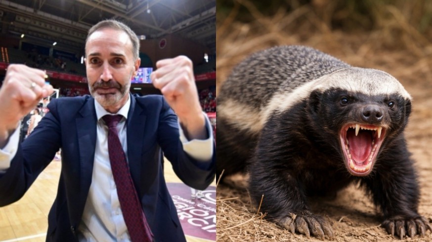 Sito Alonso: "No tenemos miedo, somos como el tejón de la miel"