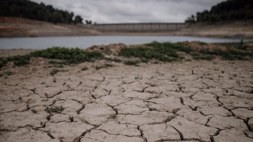 Declarado el decreto de sequía en gran parte de la cuenca del Segura