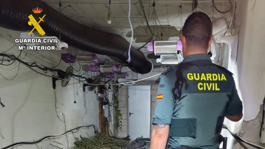 Desmantelado en Cehegín un invernadero indoor con 360 plantas de marihuana