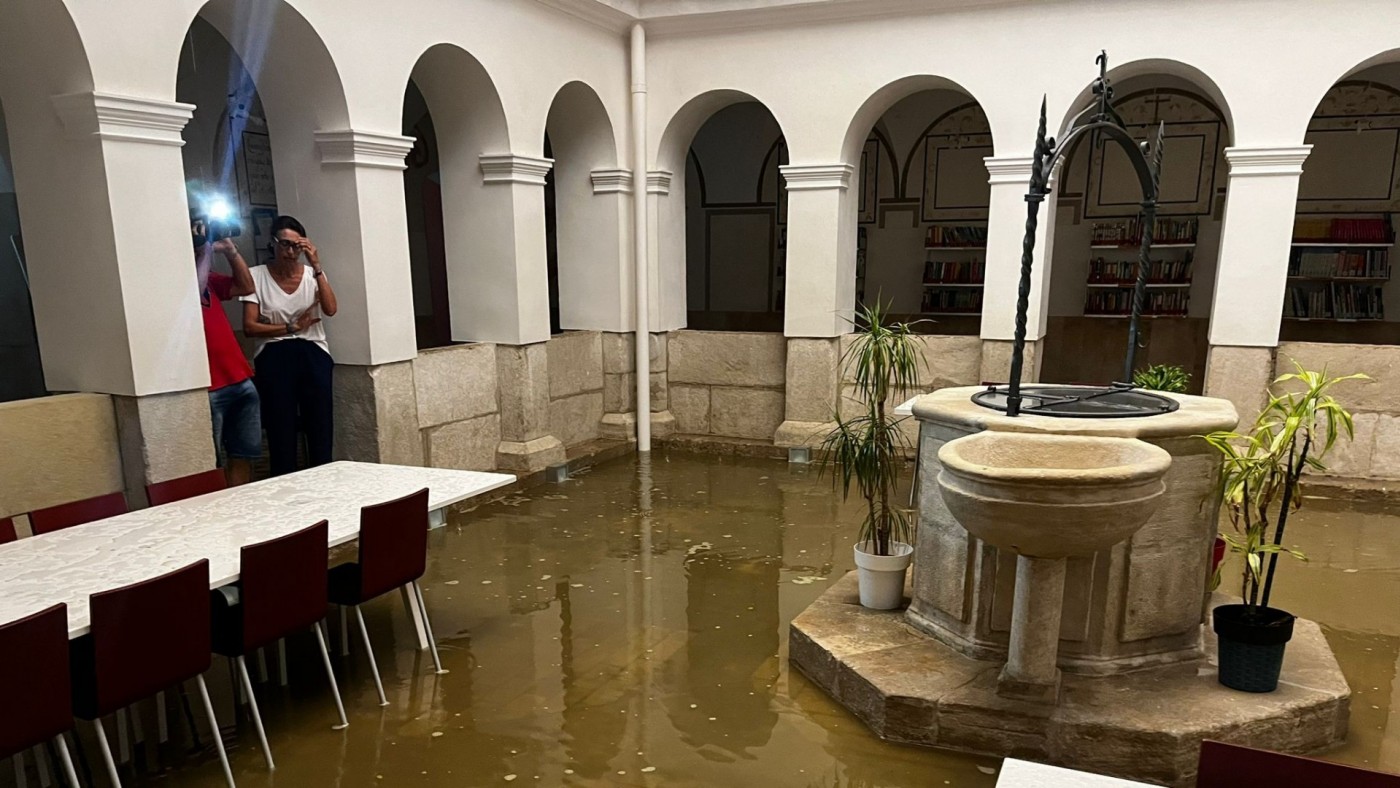 El granizo daña la madera de los frutales en Cieza